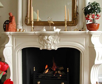 Gasgestookte openhaard 17