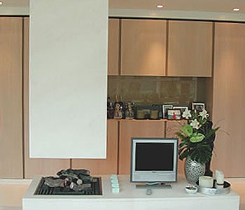 Gasgestookte openhaard 07